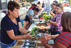 People Conversing at a Farmers Market